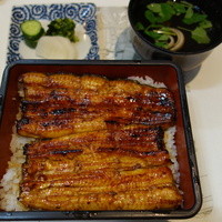 川越 いちのや - うな重菊3620円