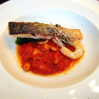 Lounge & Dining G - 