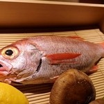 のどぐろ専門 銀座 中俣 - 