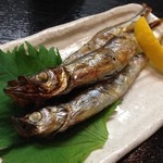 フリーダム ロード - H.27.8.4.夜 ししゃも 250円