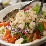 焼肉屋 かねちゃん 至粋亭 - かねこサラダ