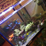 中国料理 盤古殿 - ２０１５年１２月