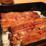 竹葉亭 - うなぎ重