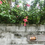 古民家食堂てぃーらぶい - 