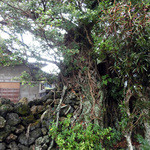 古民家食堂てぃーらぶい - 