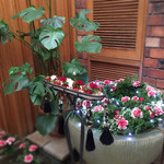 ドゥ アッシュ - 