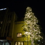 45246361 - 2015 山の上ホテル　正面ツリー