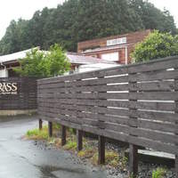 charcoal steak BRASS - 
