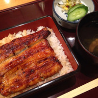 赤坂ふきぬき - 