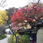 喫茶 吉野 - 東慶寺内の紅葉