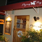 Flying pig - 
