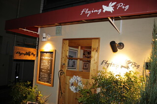 Flying pig - 