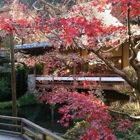 うかい鳥山 - 