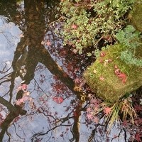 うかい鳥山 - 