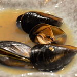 味浪漫 - 積丹のヒヨリガイ