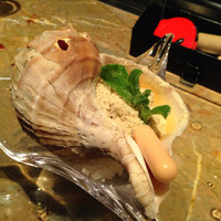 タパス モラキュラーバー - 