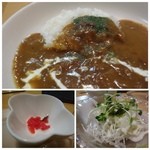 Ciao - カレーはマイルドなテイストかしらと思いながら食べると最後に辛さが来ますね。
お野菜の旨みを感じるカレーで食べやすい。
「サラダ」はキャベツの千切り、フレンチドレッシングがかけられていました。