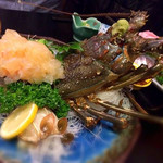 天一 - 伊勢海老でもなく、鬼海老でもないハイブリッド 新種のようです