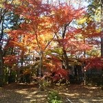 貯水池 鳥山 - 紅葉まっさかり～