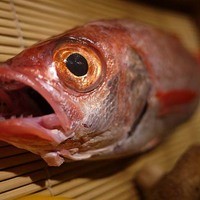 のどぐろ専門 銀座 中俣 - 