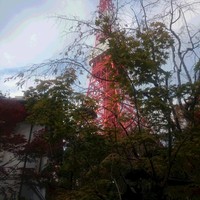 東京 芝 とうふ屋うかい - 