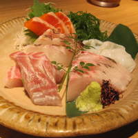 茶茶 このか - 季節のお造り盛り合わせ