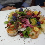 ビストロ ダイア - 噴火湾のホタテをたっぷり使った美しくて美味しいサラダ。野菜もたっぷりなのが嬉しいです。