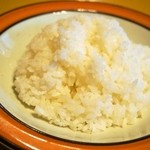 カレー魂 デストロイヤー - とり、ぶた、羊の3種肉MIXカレー！（ライス 普通盛り：270g）