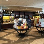 Motta - 2015年11月。訪問