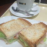 DOUTOR - 