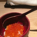 匠 進吾 - イクラ