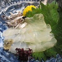 貴久政 - 