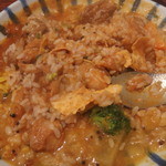 すべてのカレーとおかずを混ぜたところ。ミールスはこうやって混ぜて食べます