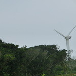 カフェくるくま - 