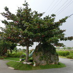 カフェくるくま - 