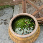 カフェくるくま - 