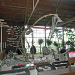 カフェくるくま - オーナーの趣味の博物館