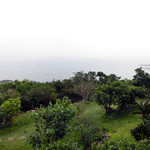 カフェくるくま - 