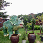 カフェくるくま - トリケラトプス？