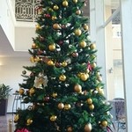 バンサンカン - フロントのクリスマスツリー