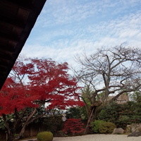 FURIAN山ノ上迎賓館 - 綺麗な赤！