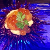 MAIMON GINZA - 