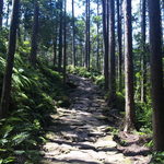 割烹の宿 美鈴 - 熊野古道