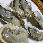 清加和 - 的矢産生牡蠣