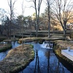 Cafe Hungry Spot - 集いの館前の棚田