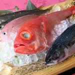 Washoku Rokkou - 産地直送鮮魚