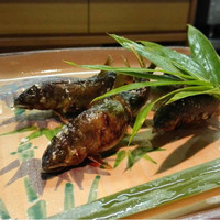 祇園 なん波 - 
