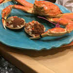 初音鮨 - 松葉蟹！