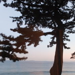 ヴィラ・デル・ソル - (2015/12)チェックイン後、しばらく部屋で海を見ながら微睡みます。