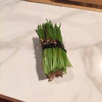 神戸 北野 双 - 芽ねぎの握り